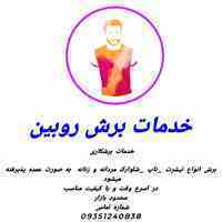 خدمات برشکاری. روبین