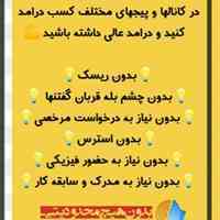 کار در منزل(تایپیست،مترجم،گوینده،دستیار مجازی)