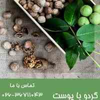 تامین کننده حبوبات و غلات وارداتی و داخلی