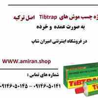 فروش ویژه چسب موش های اصل Tibtrap ترکیه