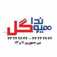 لوازم یدکی هیوندا و کیا گل