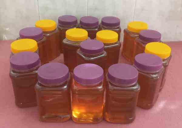 عسل طبیعی آویشن الموت قزوین ساکارز زیر ۲همراه با برگه آزمایش
