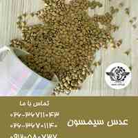 پخش عمده حبوبات و خشکبار