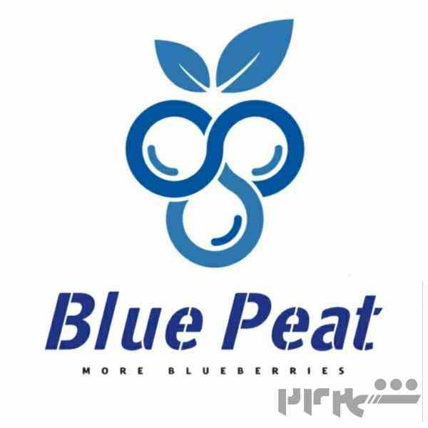 بستر کشت بلوبری بلوپیت BluePeat