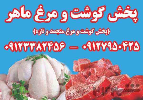 پخش عمده گوشت و مرغ (منجمد)ماهر