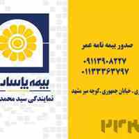نمایندگی بیمه پاسارگاد کد 95430 سید محمد اشرفی 