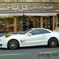 گل باختر 