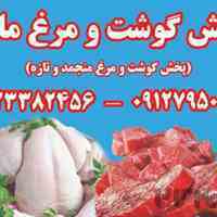 پخش عمده گوشت و مرغ (منجمد)ماهر