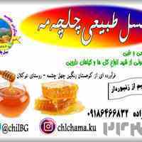  عسل طبیعی و دارویی کردستان