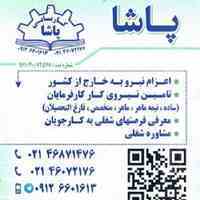 کاریابی پاشا