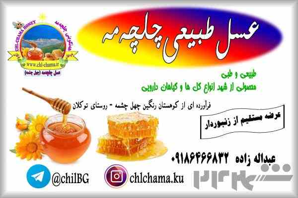  عسل طبیعی و دارویی کردستان