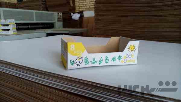 طراحی و تولید جعبه و کارتن تخم مرغ ( کارتن سازی کارنوپک )