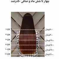 تخفیف ویژه بوتاکس و پروتئین ترامی مو
