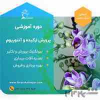 دوره آموزشی پرورش ارکیده و آنتوریوم