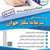 موسسه خدمات مدیریت سرمایه نگارجوان