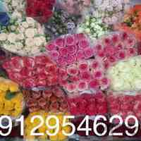 فروش گل رز