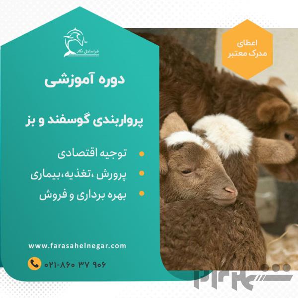 کارگاه آموزشی پرواربندی گوسفند و بز