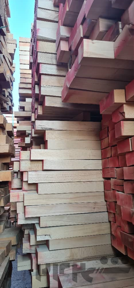 فروش مستقیم چوب راش گرجستان