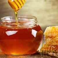 فروش عسل گیاهی درجه یک