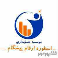 موسسه حسابداری و حسابرسی ارقام پیشگام