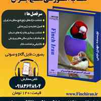 کتاب آموزشی فنچ ایران 