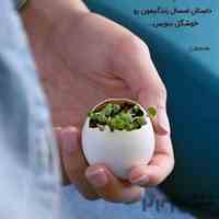 اپیلاسیون - انجام خدمات ماساژ درمنزل کاملا بهداشتی ودرمانی