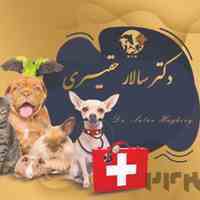ویزیت و درمان حیوانات خانگی 