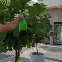 طراحی اجرا و نگهداری فضای سبز 