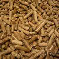 تفاله تر و خشک فشنگی چغندر قند ملاس دار