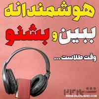 رسانه اینترنتی دیدوشنو