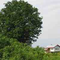 فروش مجتمع دایر محصور مسکونی ،صنعتی،کشاورزی بیجاربنه لفمجان لاهیحان