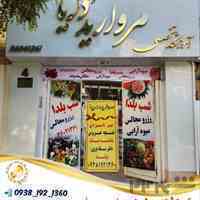 مزون دریا،انجام کلیه خدمات میوه آرایی،گیفت نامزدی،ماشین و دسته گل عروس