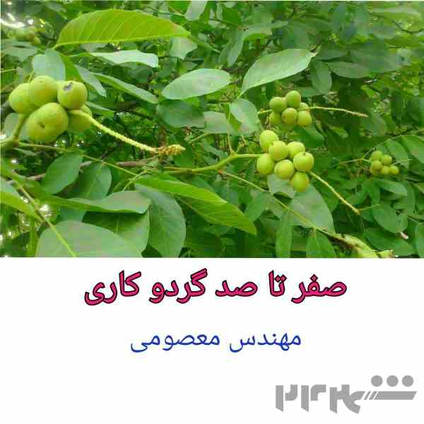 درآمد میلیاردی از باغداری