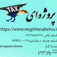 مجری پروژه های بدهی به سازمانهای مالیاتی و ...