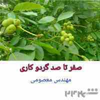 درآمد میلیاردی از باغداری