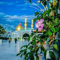 تور زیارتی کربلا نجف