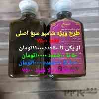 پخش شامپو گیاهی سبغ اصلی 