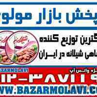 بزرگترین توزیع کننده کنسرو تن ماهی شیلانه در ایران-09123871190 (شرکت پخش بازار مولوی از 1373)