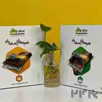 نرم افزار حسابداری 