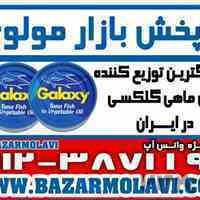 بزرگترین توزیع کننده کنسرو تن ماهی گلکسی در ایران-09123871190 (شرکت پخش بازار مولوی از 1373)