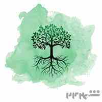 طراحی سایت، برنامه نویسی، سئو تضمینی و دیجیتال مارکتینگ