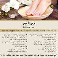 سم زدایی