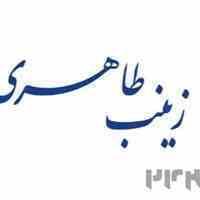 وکیل مطرح در پرونده های کلان اقتصادی کشور