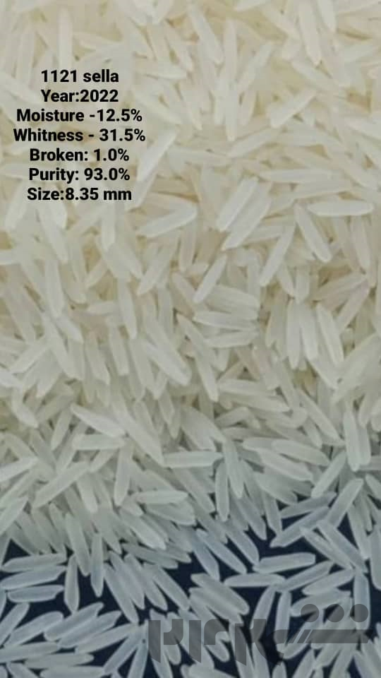 فروش فوق العاده برنج هندی درجه یک خاطره ، محسن ، هدیه ، با بهترین قیمت