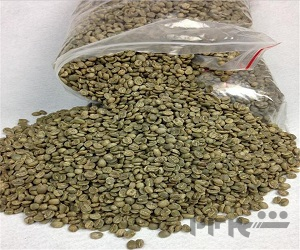 واردات مستقیم دانه قهوه خام آفریقا بصورت ثبت سفارش