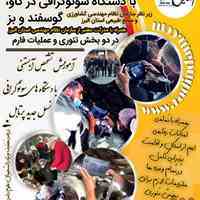 دوره آموزشی تشخیص آبستنی با دستگاه سونوگرافی گاو،گوسفند،بز