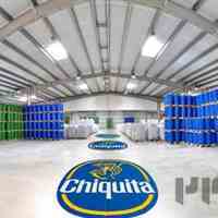 فروش مستقیم پوره موز چیکیتا