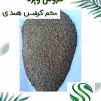 فروش ویژه تخم کرفس هندی