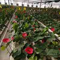 آموزشگاه کشاورزی دامپروری شیلات