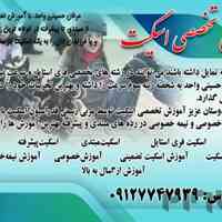 آموزش اسکیت تضمینی